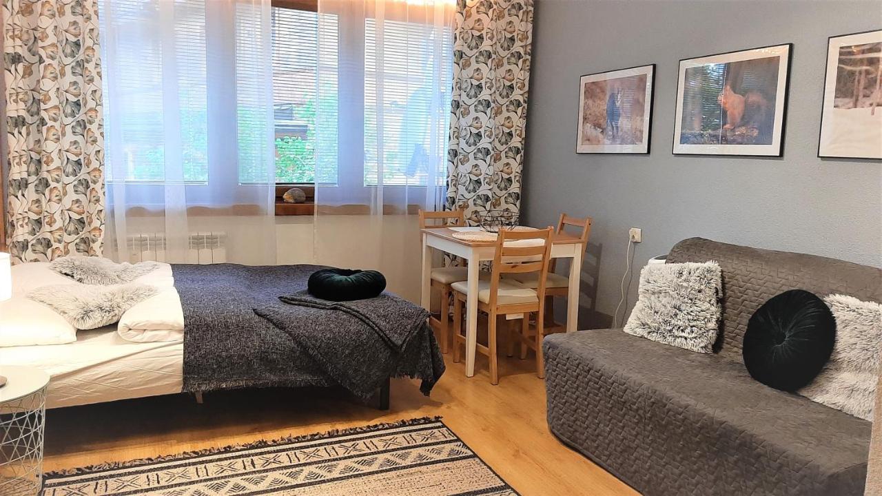 Studio Mila I Nido W Centrum Apartzakop Zakopane Kültér fotó